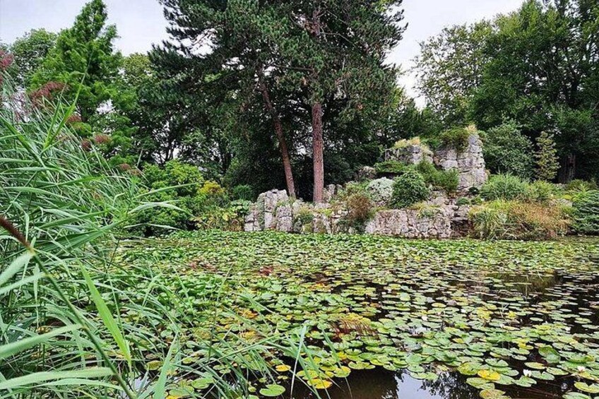 A pond with lily pads and surrounding greenery. 3
