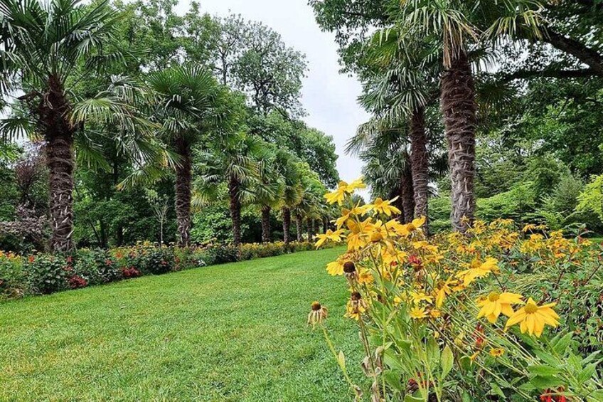 A garden with palm trees, yellow flowers, and green grass. 5