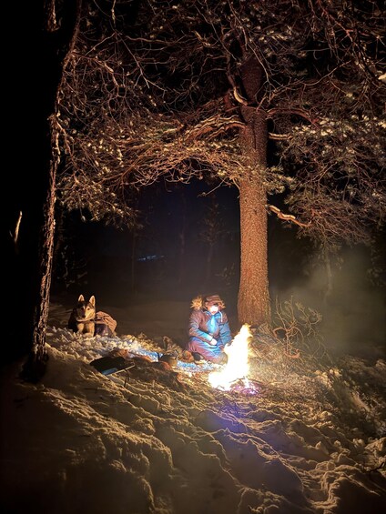 A person sitting by a campfire in a snowy forest at night. 5