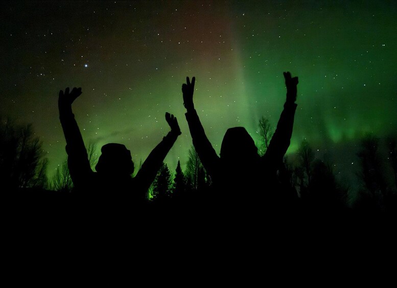 Silhouettes of people with raised hands against a night sky with green aurora. 1