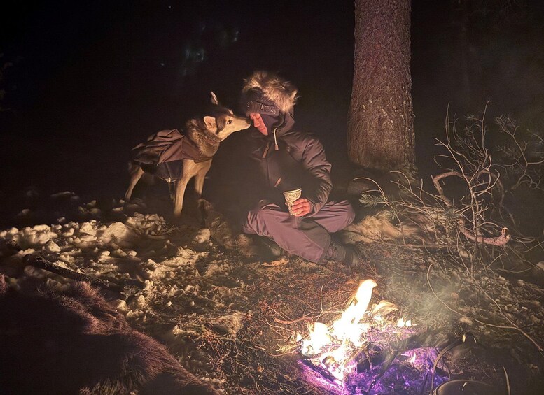 A person sitting by a campfire in a snowy forest. 3
