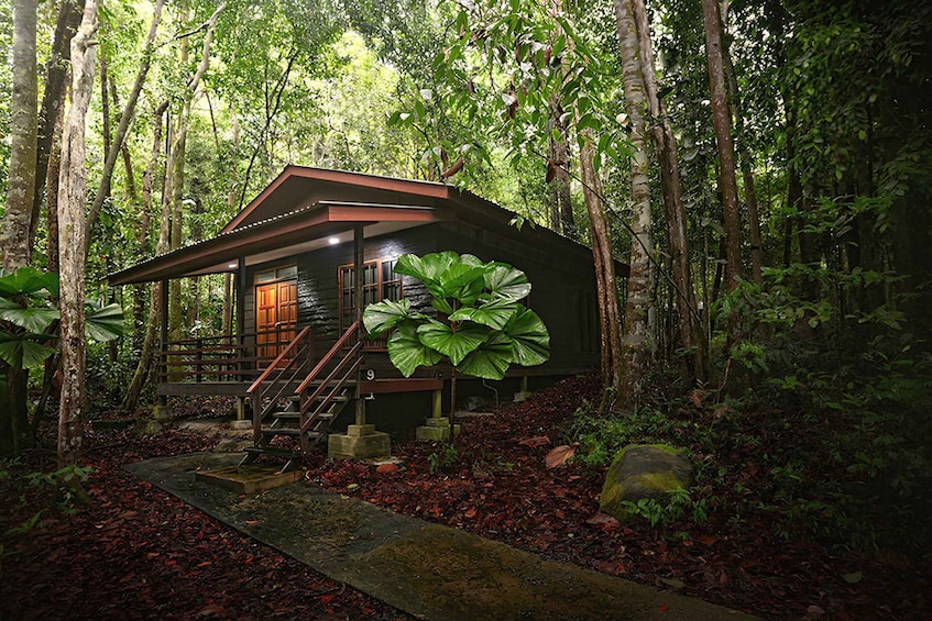 Picture 7 for Activity Kuching: Bako Wildlife & Permai Rainforest 2-Day Tour 2