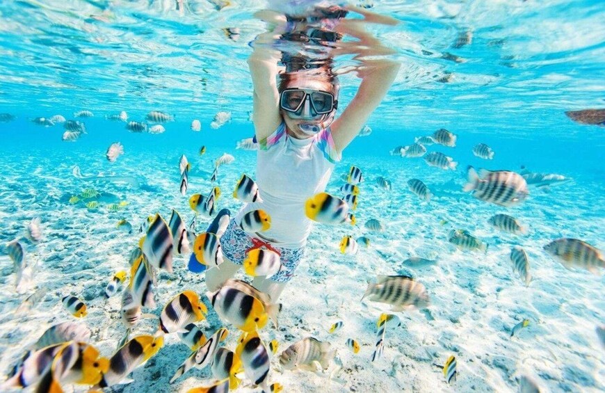 Picture 4 for Activity Mnemba Atoll Snorkeling & Dolphin Boat Adventure 3