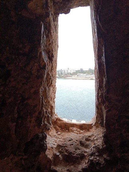 Picture 10 for Activity Mombasa: Fort Jesus, Old Town, and Haller Park Tour 5