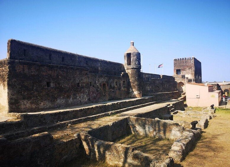 Picture 11 for Activity Mombasa: Fort Jesus, Old Town, and Haller Park Tour 5