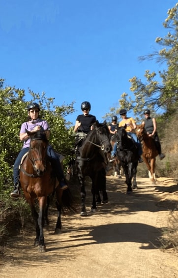 A group of people riding horses on a dirt path surrounded by trees. 2