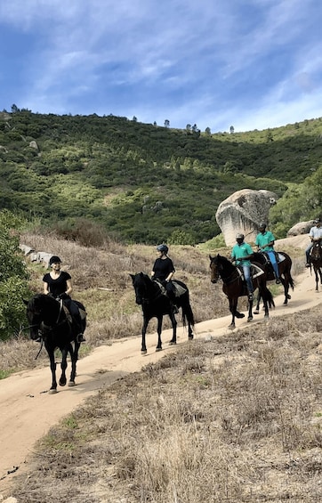 A group of people riding horses on a dirt path through a hilly, forested area. 5