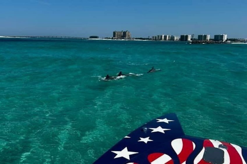 A clear blue sea with a city skyline in the background. 5
