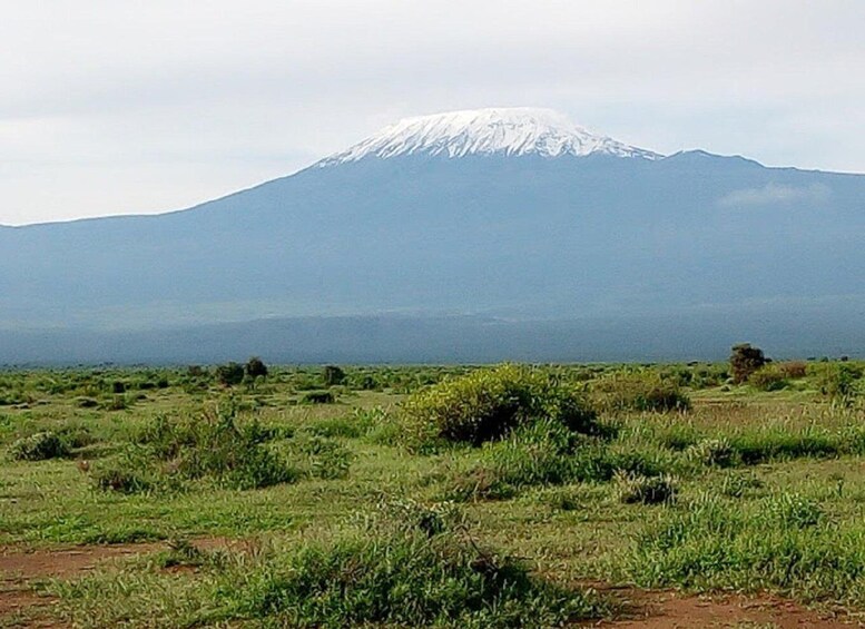 Picture 3 for Activity Nairobi: Day Trip to Amboseli National Park & Maasai Village 4