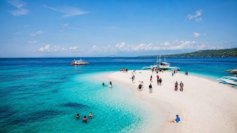 Picture 16 for Activity Oslob: Whale Shark Watching, Sumilon Island & Monkeys 4