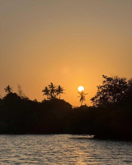 A sunset over a body of water with silhouettes of palm trees and a forested area. 4