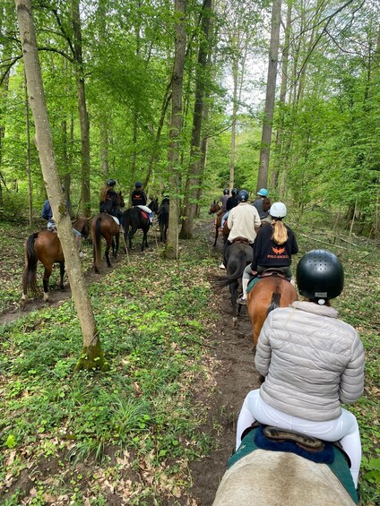 Private Horse Ride experience 1