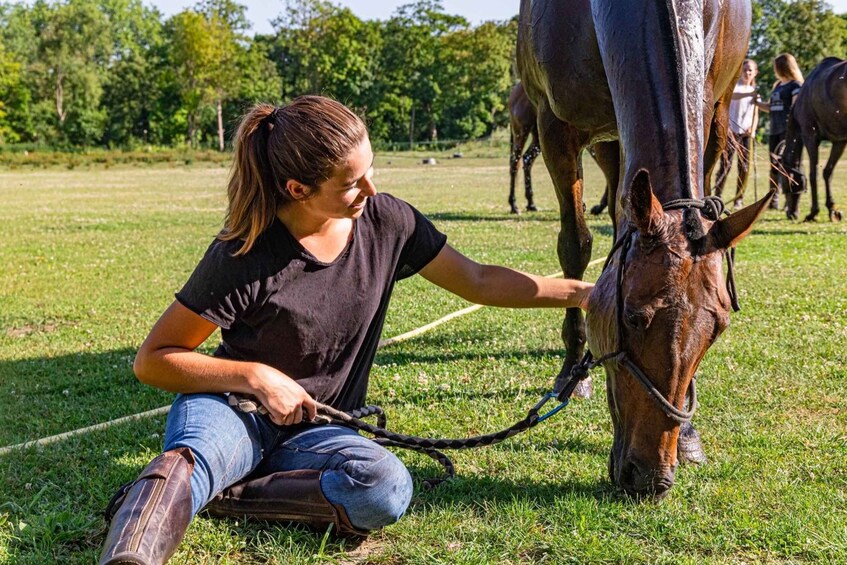 Picture 3 for Activity Private Horse Ride experience 3