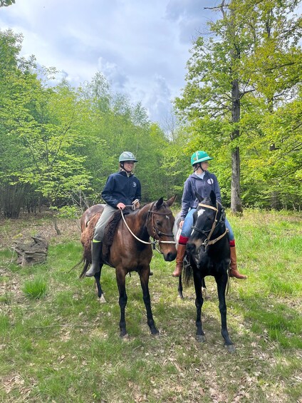 Picture 2 for Activity Private Horse Ride experience 2