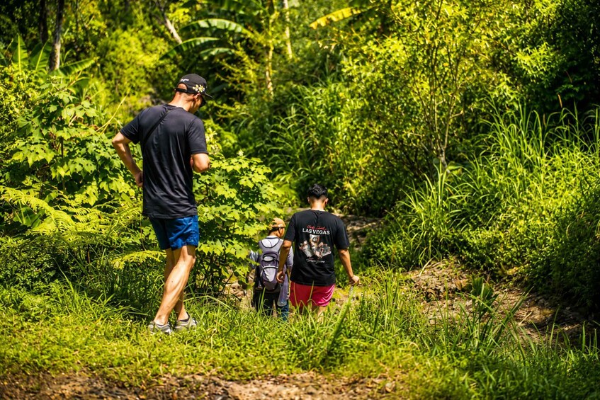 Picture 4 for Activity Munduk: Authentic Nature Cooking Class &Water Jump Adventure 3