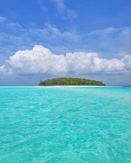A turquoise sea with a small island covered in greenery. 5