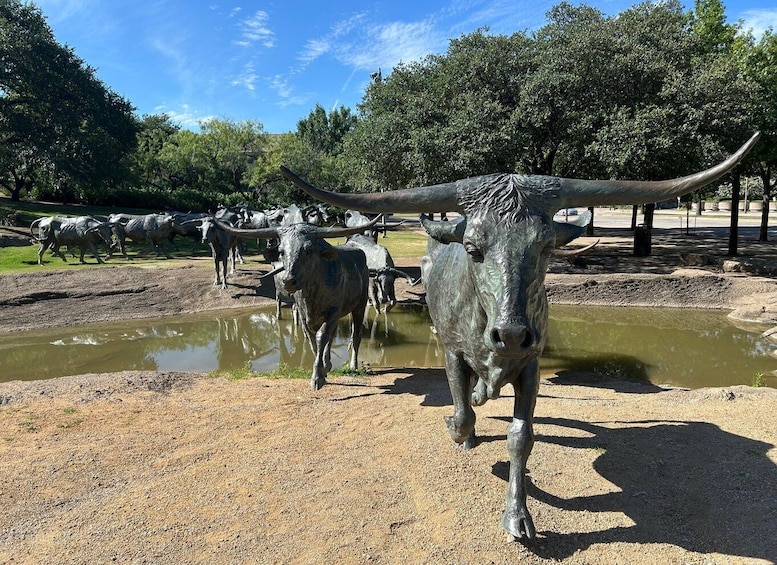 A herd of cattle with long horns walking near a water body. 1