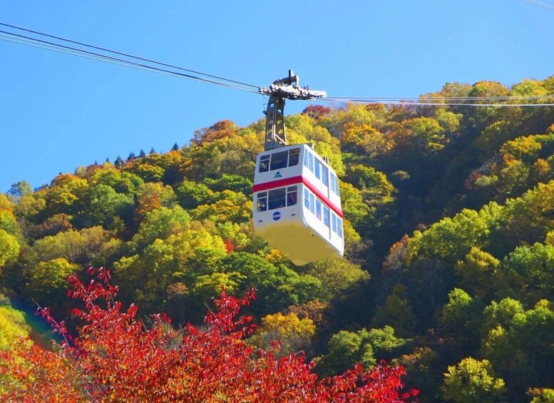 A cable car ascending a hill with autumn foliage. 5