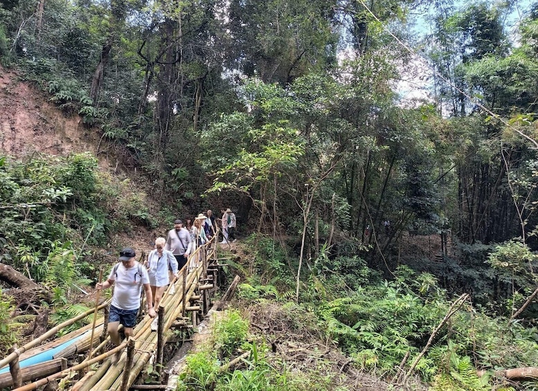 A group of people walking on a bamboo bridge in a forested area. 2