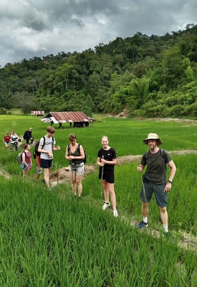 A group of people hiking in a grassy field with a forested hill in the background. 4