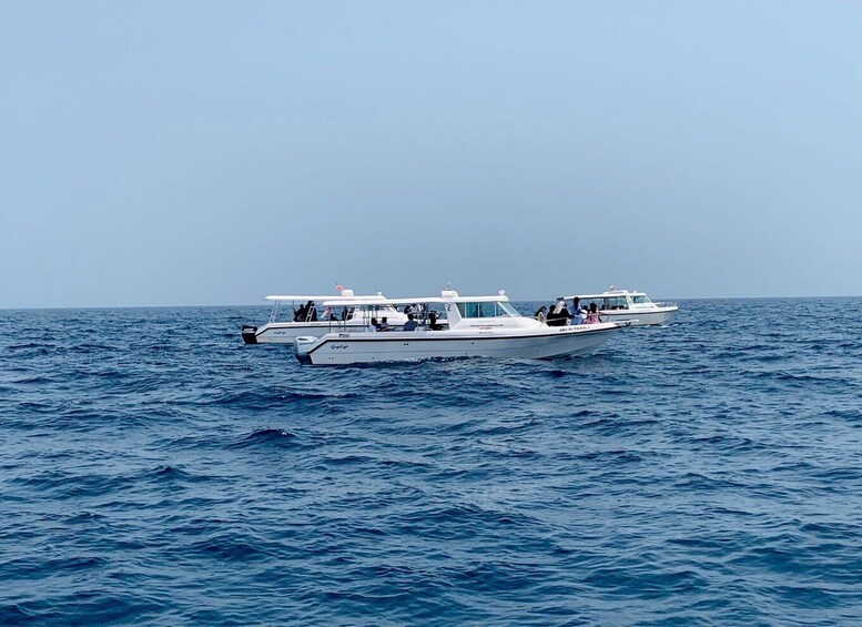Un barco blanco con pasajeros navegando en el océano. 3