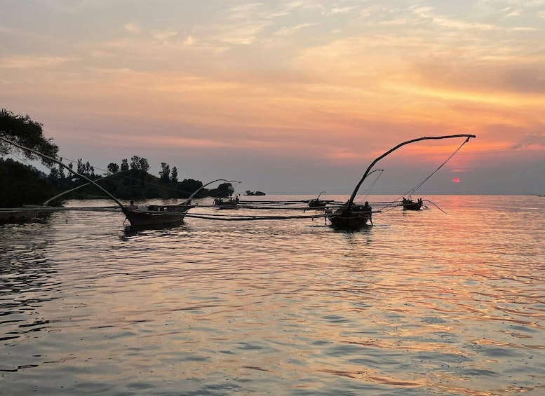 Des bateaux de pêche traditionnels au coucher du soleil, sur des eaux calmes, avec une côte bordée d’une forêt. 3