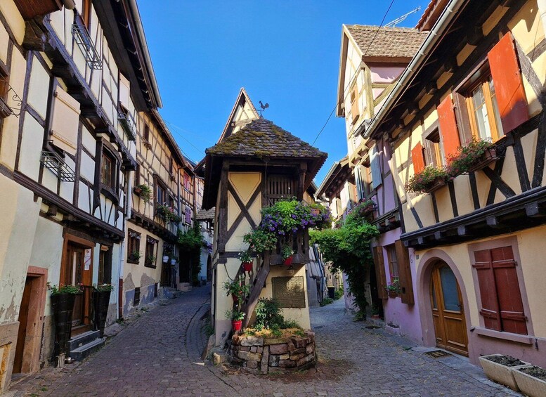 From Colmar: The 4 most beautiful village in Alsace Full Day 1