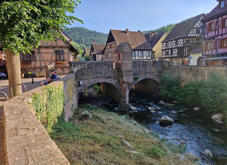 Picture 7 for Activity From Colmar: The 4 most beautiful village in Alsace Full Day 4