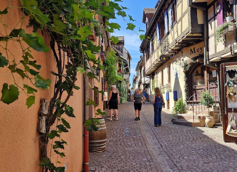 Picture 11 for Activity From Colmar: Alsace Wine Route & 4 Villages Private Tour 4