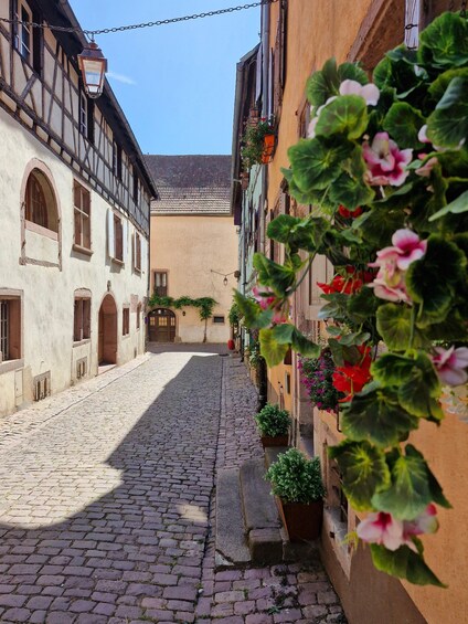 Picture 18 for Activity From Colmar: Alsace Wine Route & 4 Villages Private Tour 5