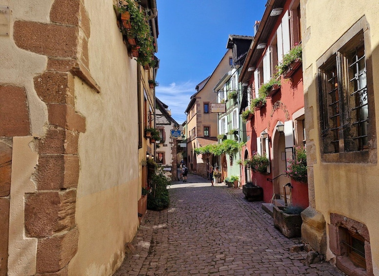 Picture 20 for Activity From Colmar: Alsace Wine Route & 4 Villages Private Tour 3