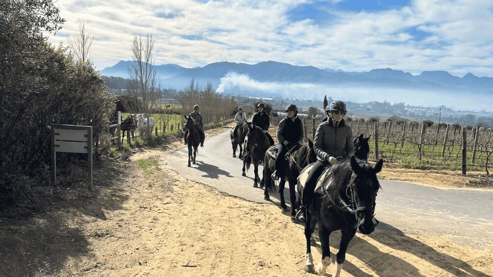 A group of riders on horseback on a dirt road with mountains in the background. 2