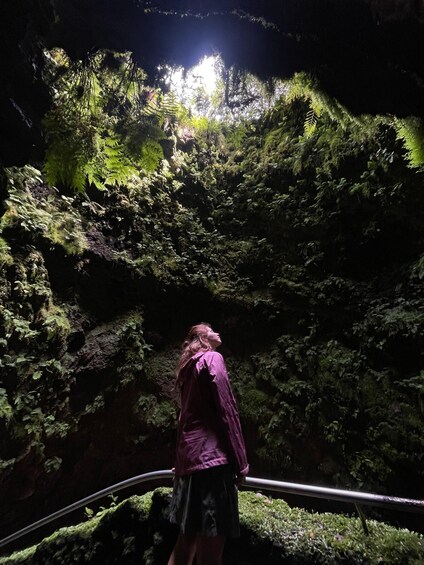 A person standing in a dimly lit cave with dense green foliage. 4