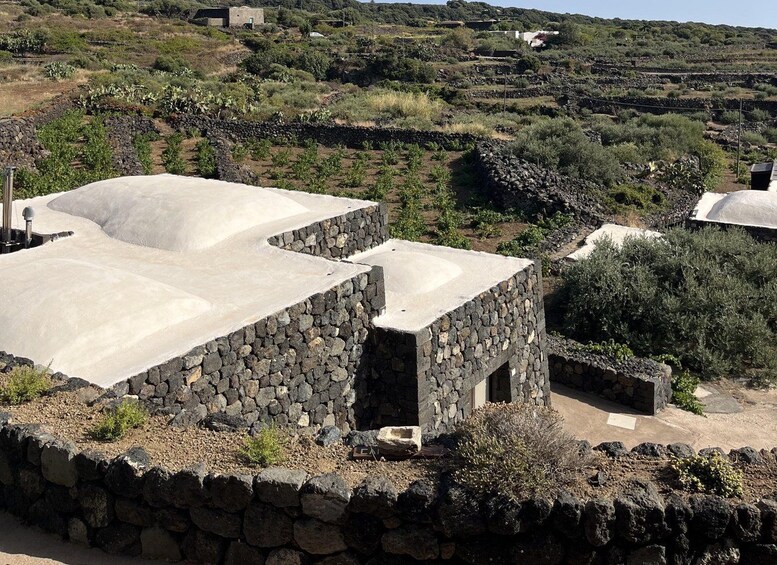 Picture 1 for Activity Pantelleria: Cooking Class in a traditional Dammuso 2