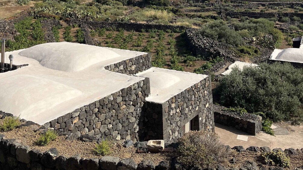 Picture 1 for Activity Pantelleria: Cooking Class in a traditional Dammuso 2