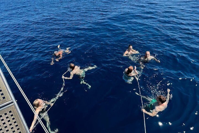 Bari sailing cruise in search of dolphins 4