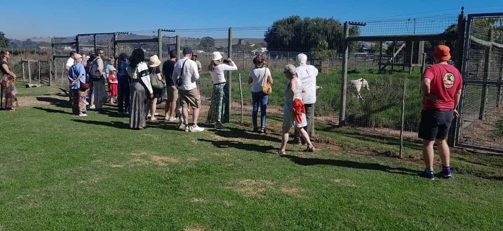 A group of people standing on a grassy field near a fenced area with a person in a red shirt and black shorts. 2