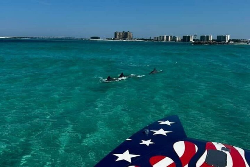 A clear blue sea with a city skyline in the background. 3