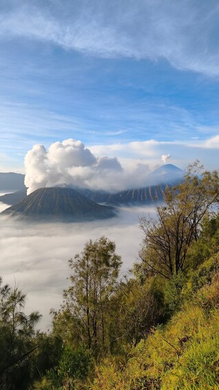 A mountain with a cloud of smoke, surrounded by forest and a clear sky. 3