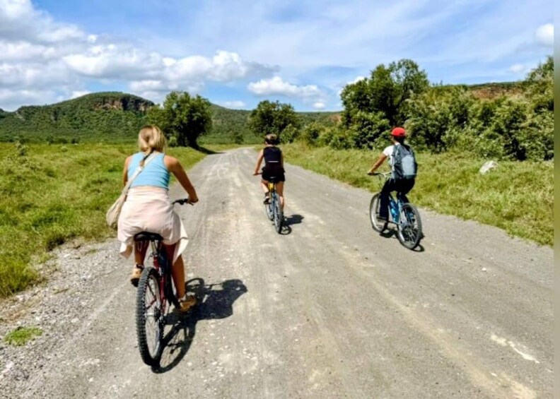 Three cyclists on a rural road surrounded by greenery. 1
