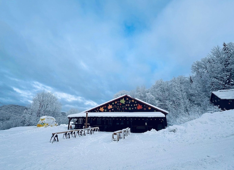 A snow-covered barn with a colorful leaf pattern on the roof, surrounded by snow-laden trees and a clear sky. 5