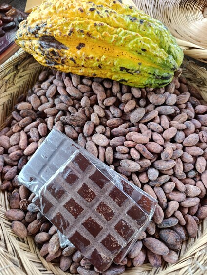 A basket filled with cocoa beans, a chocolate bar, and a green fruit. 3