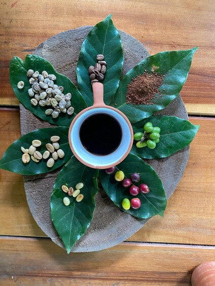 Cusco: Sensory Coffee & Cocoa Farm Experience 1
