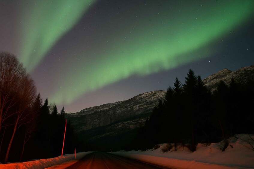 A road with snow on the sides and the Northern Lights in the sky. 4