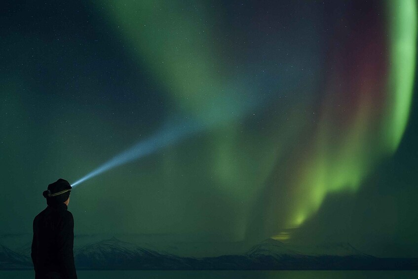 A person observing the Northern Lights with a flashlight. 3