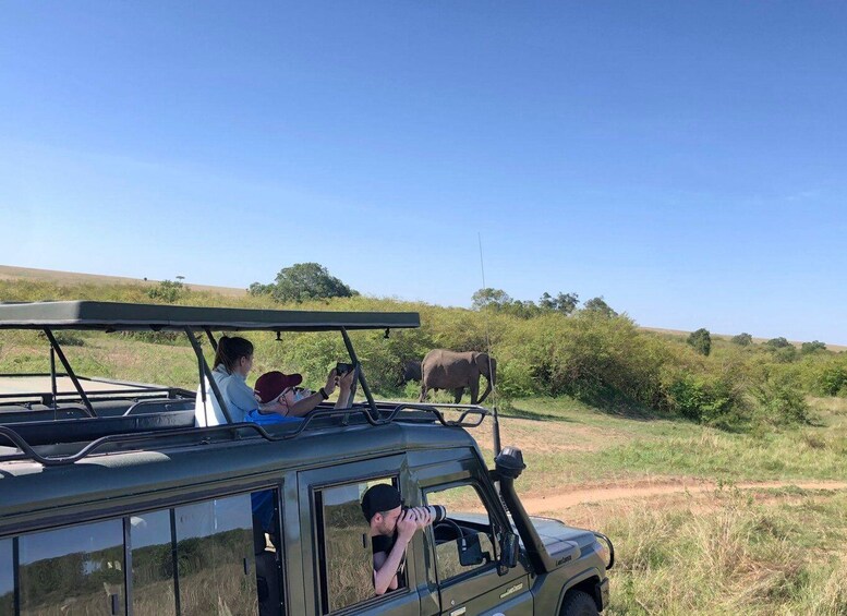 Picture 3 for Activity Game drive in Amboseli 3