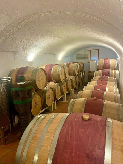 Picture 3 for Activity Premium Sightseeing Tour: Winery with 7 Tastings and Guadalest Castle - Small Group 5
