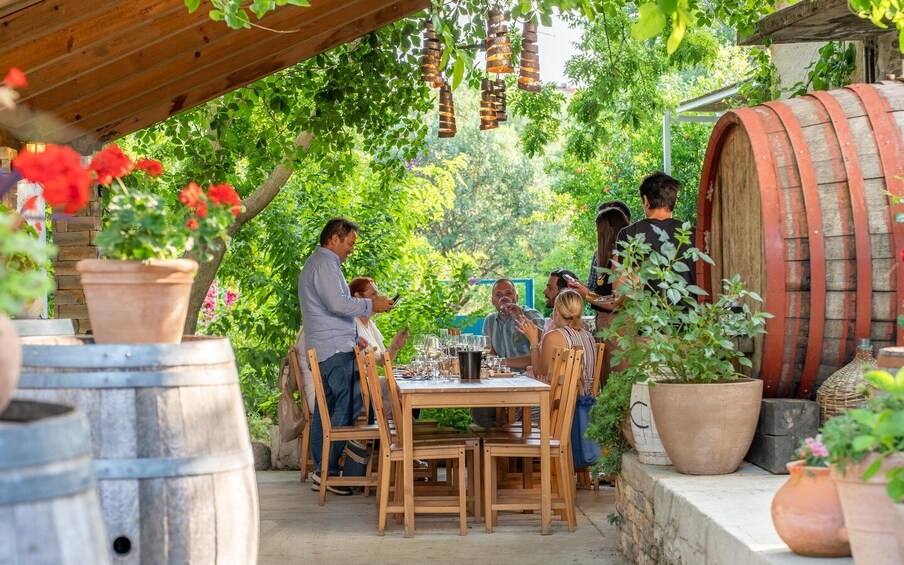Picture 7 for Activity Split/Kaštela/Trogir: Krka Private Tour-option: Wine Tasting 1