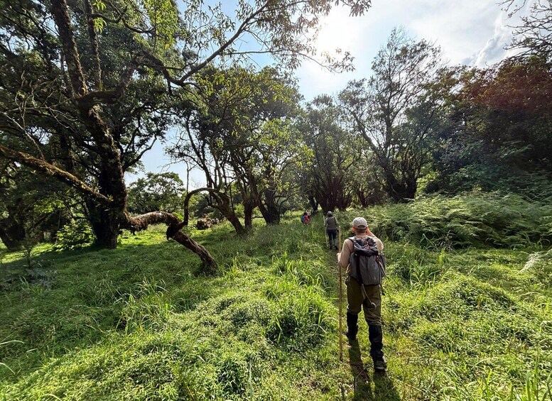 4 Days Queen Elizabeth and Kibale Forest Safari 1