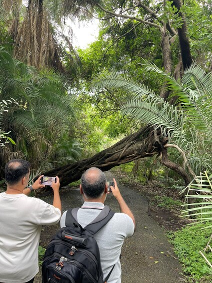 Two people taking photos of a fallen tree on a forest path. 3